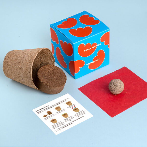 Cadeaux éco-responsables plantables : bombes de fleurs, crayons, cartes, carnets. Idéal pour un message durable et des cadeaux d'entreprise uniques et verts. Plantable eco-gifts: seed bombs, pencils, cards, notebooks. Perfect for a lasting message and unique green corporate gifts. Plantbare eco-geschenken: bloembommen, potloden, kaarten, notitieboekjes. Ideaal voor een duurzame boodschap en unieke groene relatiegeschenken.