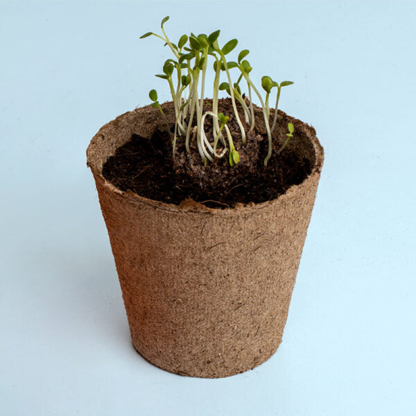 Cadeaux éco-responsables plantables : bombes de fleurs, crayons, cartes, carnets. Idéal pour un message durable et des cadeaux d'entreprise uniques et verts. Plantable eco-gifts: seed bombs, pencils, cards, notebooks. Perfect for a lasting message and unique green corporate gifts. Plantbare eco-geschenken: bloembommen, potloden, kaarten, notitieboekjes. Ideaal voor een duurzame boodschap en unieke groene relatiegeschenken.