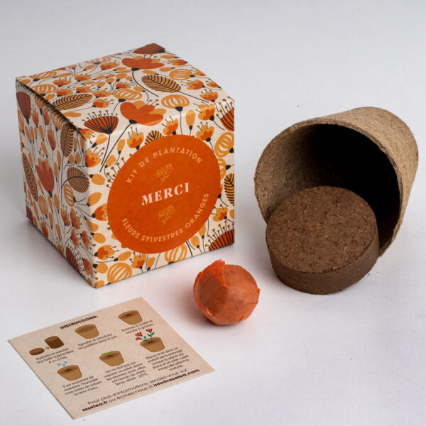Cadeaux éco-responsables plantables : bombes de fleurs, crayons, cartes, carnets. Idéal pour un message durable et des cadeaux d'entreprise uniques et verts. Plantable eco-gifts: seed bombs, pencils, cards, notebooks. Perfect for a lasting message and unique green corporate gifts. Plantbare eco-geschenken: bloembommen, potloden, kaarten, notitieboekjes. Ideaal voor een duurzame boodschap en unieke groene relatiegeschenken.