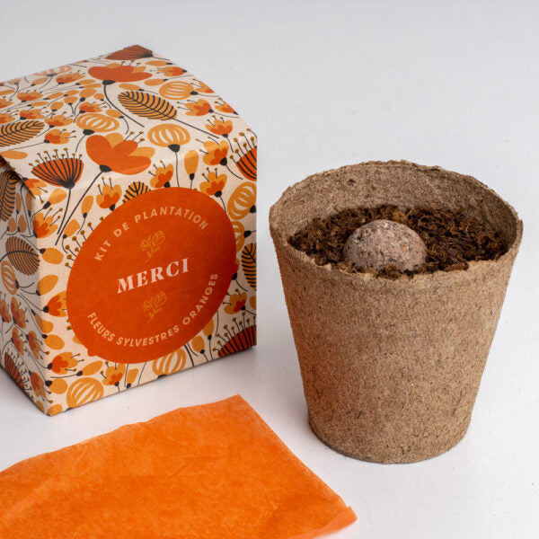 Cadeaux éco-responsables plantables : bombes de fleurs, crayons, cartes, carnets. Idéal pour un message durable et des cadeaux d'entreprise uniques et verts. Plantable eco-gifts: seed bombs, pencils, cards, notebooks. Perfect for a lasting message and unique green corporate gifts. Plantbare eco-geschenken: bloembommen, potloden, kaarten, notitieboekjes. Ideaal voor een duurzame boodschap en unieke groene relatiegeschenken.