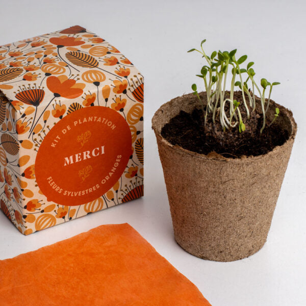 Cadeaux éco-responsables plantables : bombes de fleurs, crayons, cartes, carnets. Idéal pour un message durable et des cadeaux d'entreprise uniques et verts. Plantable eco-gifts: seed bombs, pencils, cards, notebooks. Perfect for a lasting message and unique green corporate gifts. Plantbare eco-geschenken: bloembommen, potloden, kaarten, notitieboekjes. Ideaal voor een duurzame boodschap en unieke groene relatiegeschenken.