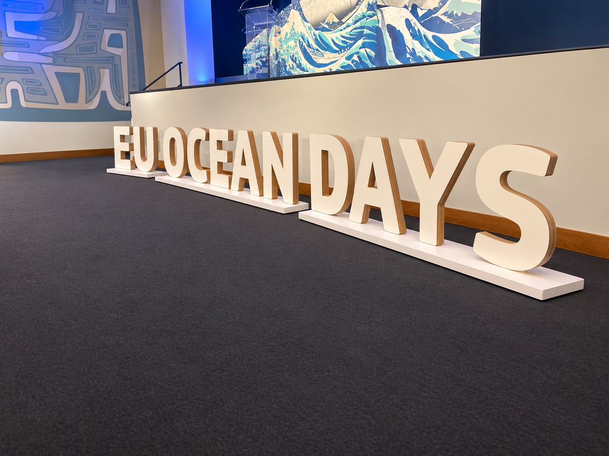 Lettres géantes en bois upcyclé - sur mesure - EU Greenweek 26