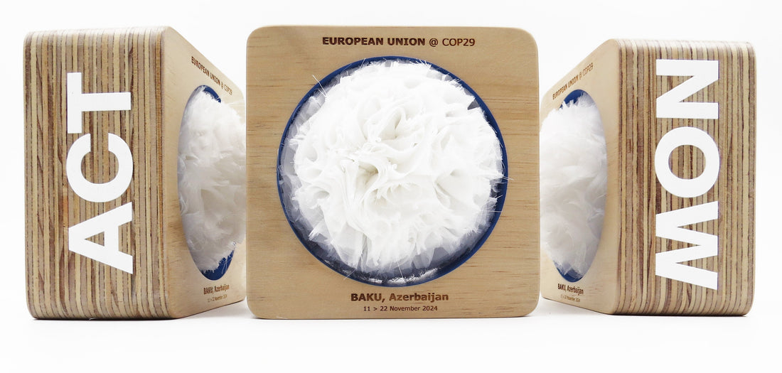 W.A.N.D. & DG CLIMA : Une collaboration créative au service du climat